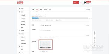 头条号如何爆料视频挣钱,轻松实现财富增长  第3张